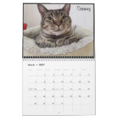2020 Petals Veer en Vrienden Agenda Kalender (Mar 2027)