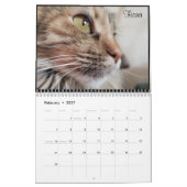 2020 Petals Veer en Vrienden Agenda Kalender (Feb 2027)