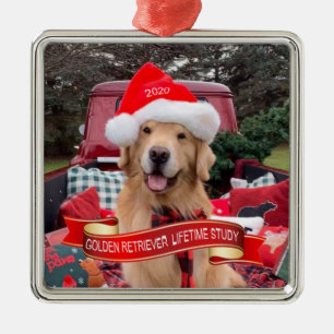2020 Pewter GRLS Ornament