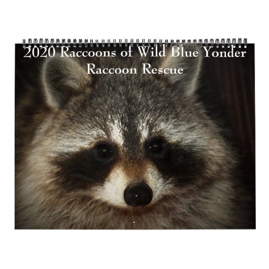 2020 Raccoons van de "Wild Blue Yonder Raccoon Res Kalender (Hoes)