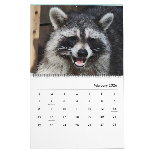 2020 Raccoons van de "Wild Blue Yonder Raccoon Res Kalender (Feb 2026)