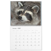 2020 Raccoons van Wilde Blue Yonder Wildlife Rescu Kalender (Jan 2027)
