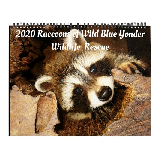 2020 Raccoons van Wilde Blue Yonder Wildlife Rescu Kalender (Hoes)