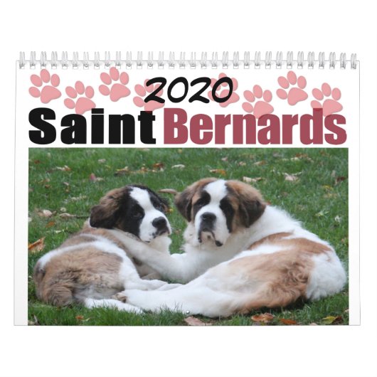2020 Schattige Hondenras Saint Bernard Puppy Kalender (Hoes)