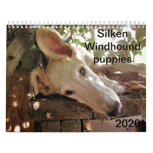 2020 Silken Windhound-Puppies Kalender (Hoes)