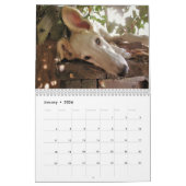 2020 Silken Windhound-Puppies Kalender (Jan 2026)