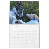 2020 Silken Windhound-Puppies Kalender (Feb 2026)