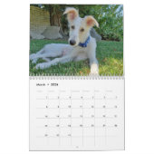 2020 Silken Windhound-Puppies Kalender (Mar 2026)