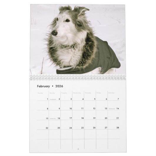 2020 Silken Windhounds (1-1) Kalender (Feb 2026)