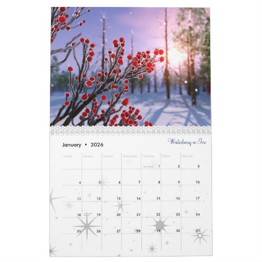 2020 SilverWebForge 3D Landschapskalender Kalender (Jan 2026)