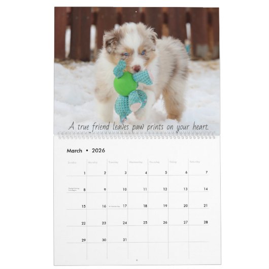 2020 Sky Blue Aussies Kalender (Mar 2026)