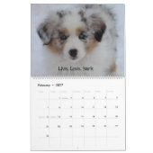 2020 Sky Blue Aussies Kalender (Feb 2027)