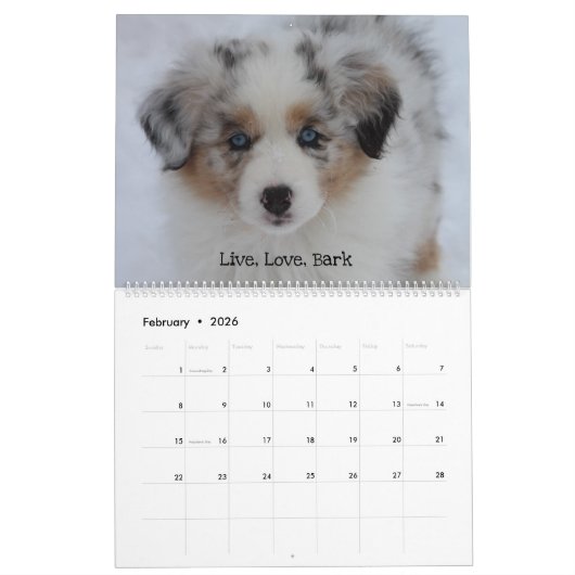 2020 Sky Blue Aussies Kalender (Feb 2026)