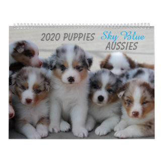2020 Sky Blue Aussies Kalender