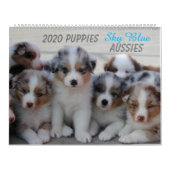 2020 Sky Blue Aussies Kalender (Hoes)