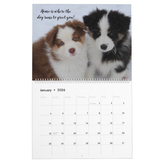 2020 Sky Blue Aussies Kalender (Jan 2026)