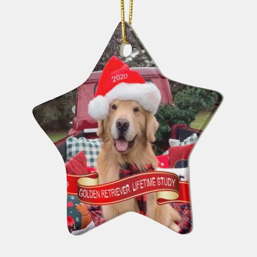 2020 Star-keramisch Ornament (Links)