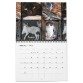 2020 Team iCat Forever Agenda Kalender (Feb 2027)