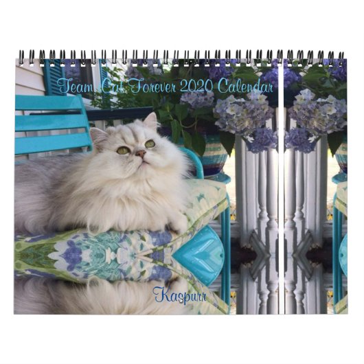 2020 Team iCat Forever Agenda Kalender (Hoes)