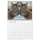2020 Team iCat Forever Agenda Kalender (Jan 2027)