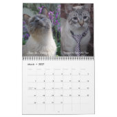 2020 Team iCat Forever Agenda Kalender (Mar 2027)