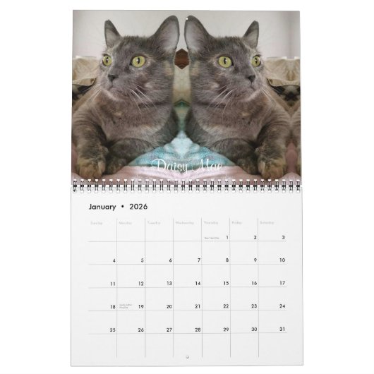 2020 Team iCat Forever Agenda Kalender (Jan 2026)