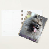 2020 Trumpet-planner Planner (Display)