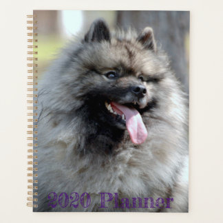 2020 Trumpet-planner Planner