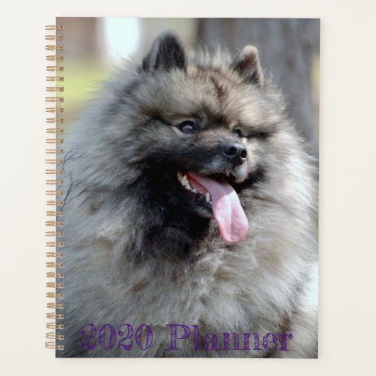 2020 Trumpet-planner Planner (Voorkant)