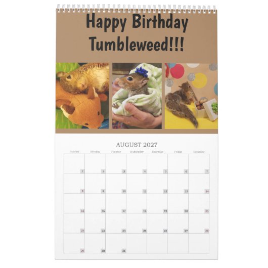 2020 Tumbleweed-agenda Kalender (Aug 2027)
