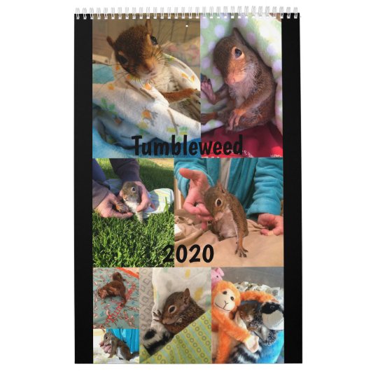 2020 Tumbleweed-agenda Kalender (Hoes)