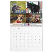 2020 Violetville Pet Calendar ~ ALL Pets Kalender (Mar 2026)