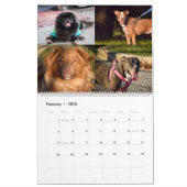 2020 Violetville Pet Calendar ~ ALL Pets Kalender (Feb 2026)