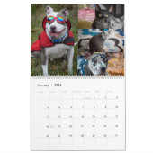 2020 Violetville Pet Calendar ~ ALL Pets Kalender (Jan 2026)