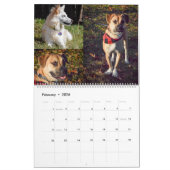 2020 Violetville Pet Calendar ~ Big Dogs Edition Kalender (Feb 2026)