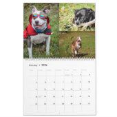 2020 Violetville Pet Calendar ~ Big Dogs Edition Kalender (Jan 2026)