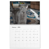2020 Violetville Pet Calendar ~ Cat Edition Kalender (Feb 2026)