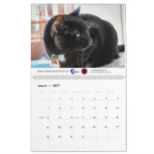 2020 Violetville Pet Calendar ~ Cat Edition Kalender (Mar 2027)