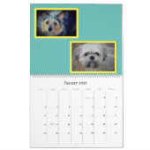 2020 Violetville Pet Calendar ~ Small Dogs Edition Kalender (Jan 2026)