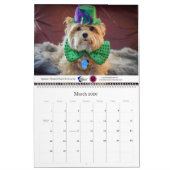 2020 Violetville Pet Calendar ~ Small Dogs Edition Kalender (Mar 2026)