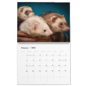 2020 Violetville Pet Calendar ~ Unique Pet Edition Kalender (Feb 2026)