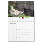 2020 Violetville Pet Calendar ~ Zoomies Edition Kalender (Mar 2026)