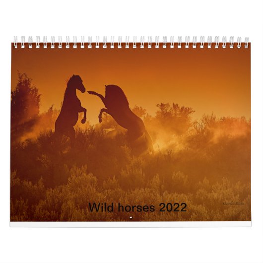 2020 wild mustang kalander kalender (Hoes)