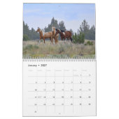 2020 wild mustang kalander kalender (Jan 2027)