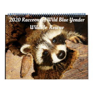 2020 Wilde Blue Yonder Wildlife Redding Kalender