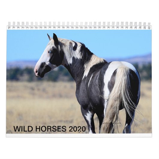 2020 wilde mosterangkalander kalender (Hoes)