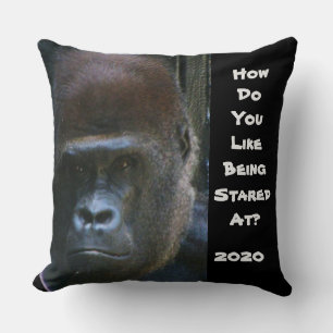2020 ZOALS STARTEN OP GORILLA'S WEG KUSSEN