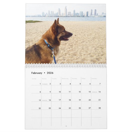 2020 ZWEEDSE VALLHUND CALLENDAR KALENDER (Feb 2026)