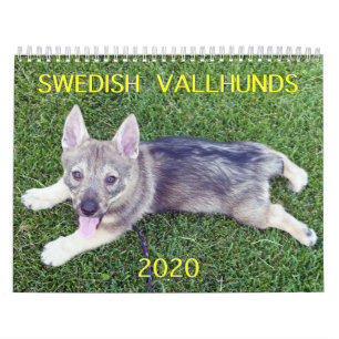 2020 ZWEEDSE VALLHUND CALLENDAR KALENDER