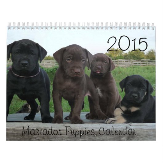 2021 Agenda van de Puppies van Mastador Kalender (Hoes)